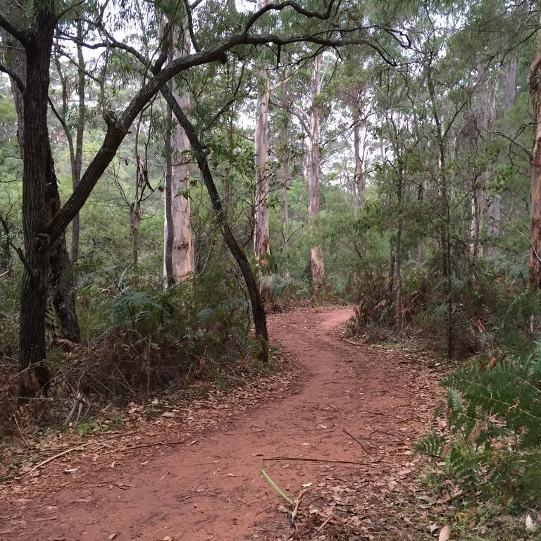 Josephines Luxury Accommodation Margaret River Esterno foto